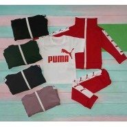 Костюм "Пума с футболкой" 13-120